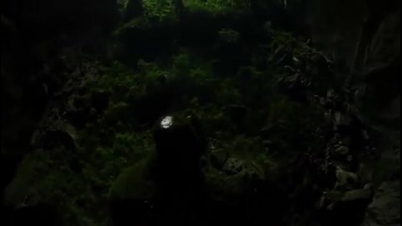 Мужчина наткнулся на эту пещеру прогуливаясь по лесу то, что внутри, поражает