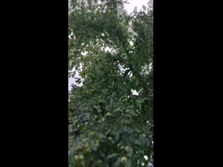 Vid 37400705 140123 652 mp4