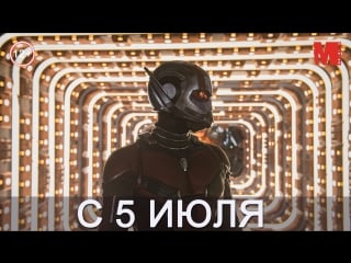 Дублированный трейлер фильма «человек муравей и оса»