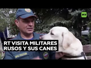 Rt visita a los militares rusos y a sus perros de servicio en las zonas de la operación especial