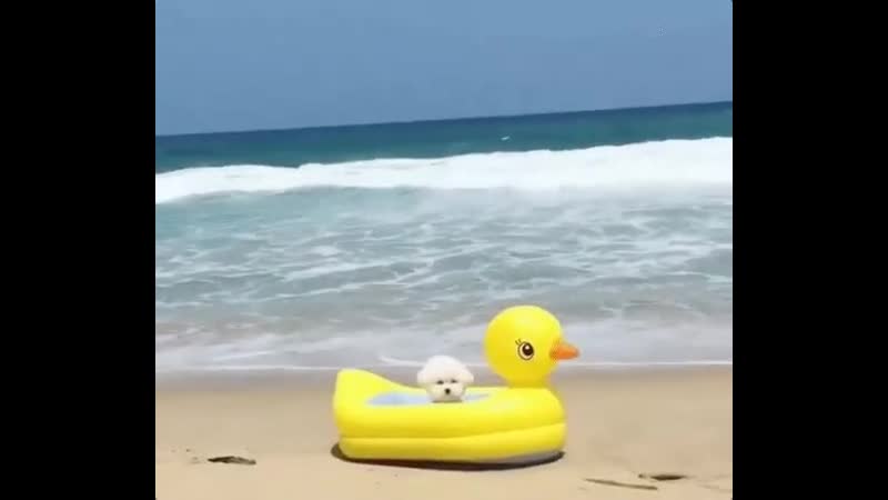 Туроператоры рассказали, сколько россияне платили за самые дорогие новогодние путеи