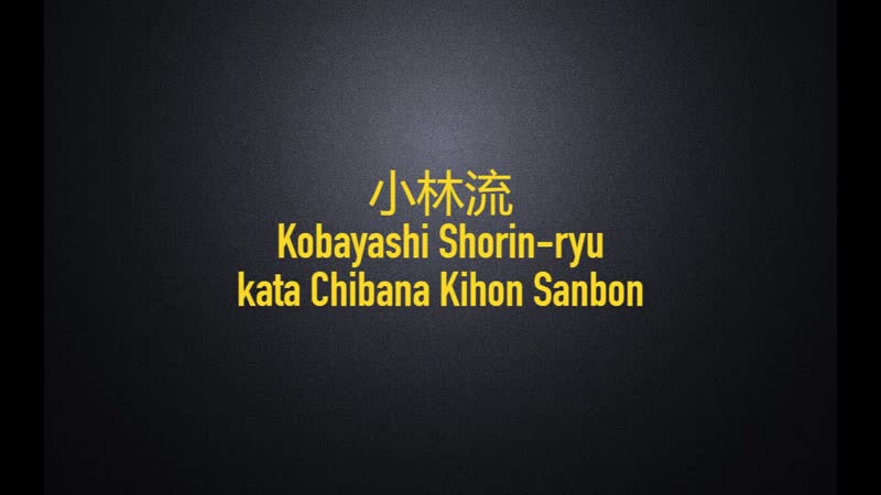 Kihon kata / chibana kihon sanbon