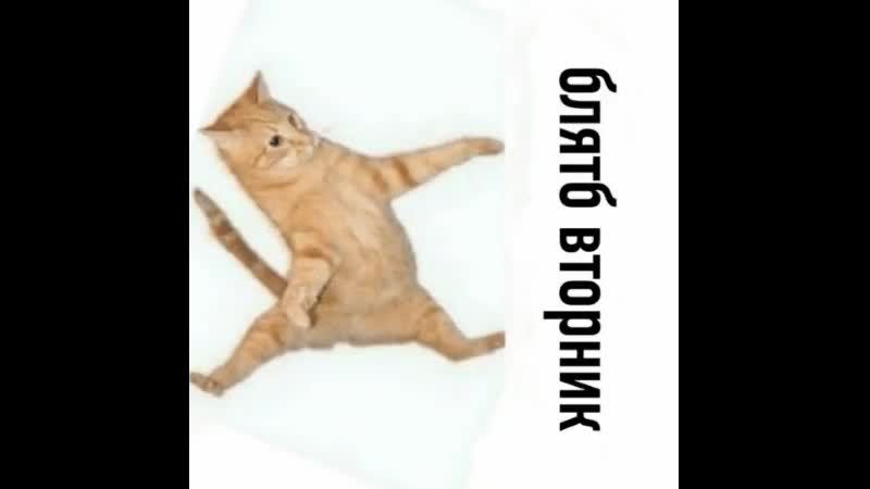 Ахах капиталист бьётся в конвульсиях