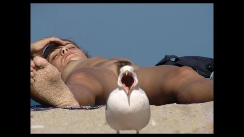 Демонические шлюхи бабкины яйца 70