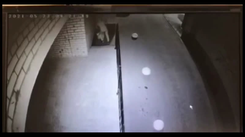 В смоленске мужчина жестоко избил девушку прямо на улице от полученных травм она потеряла сознание и до утра пролежала