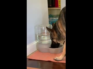 What in the heckin?! you seeing this karen?!