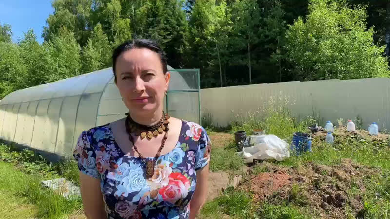 Live дома в теплице