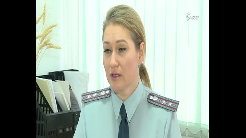 Фнс проводит декларационную кампанию