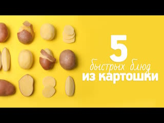 5 самых популярных блюд из картофеля [рецепты bon appetit]