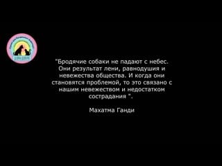 Молодые стала бездомной и ее жестоко обидели она плачет от боли на ее глазах слез (2)