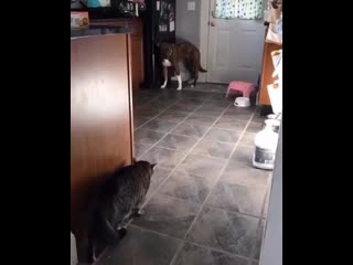 But being this is a 44 magnum, the most powerful handgun in the world and would blow your head clean off