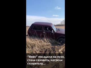 Видео от демьяна бедного