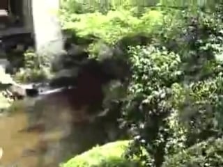 Japanese garden with women wearing yukata