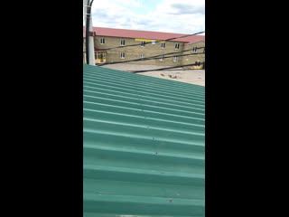 Live нега сени севдим