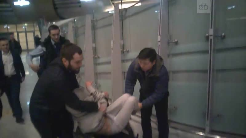 Задержание насти рыбки в шереметьево