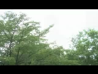 Запретная любовь (япония) фильм iii (серия 1)