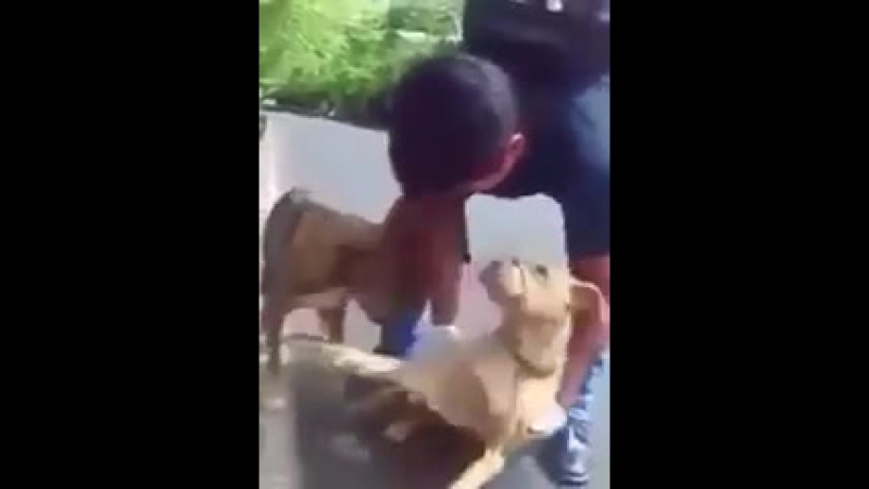 Не бросайте друзей