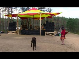 Doch odina live systo 2016