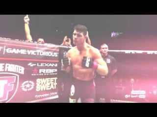 Michael bisping kung lee | leo