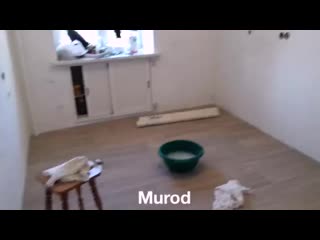 Vid 20200131 224134 124 mp4