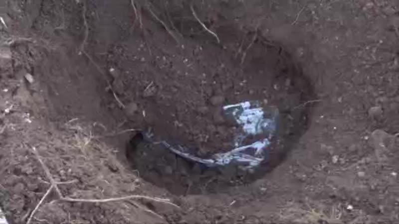 В крыму задержан местный житель, оборудовавший по заданию спецслужб украины схроны