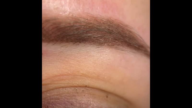 Пудровое напыление в макросъемке #перманентлуганск#