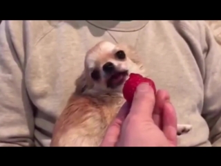 Фотосуреттердегі куннилингус