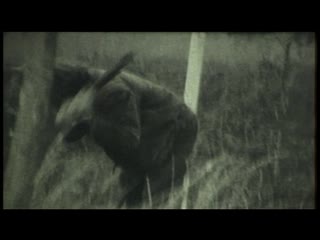 Left of reckoning • when the light is mine the best of the years 1982 1987 video collection