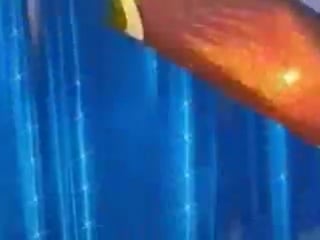 Домашнее видео "день рожденье моей дочки!!!"