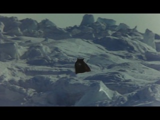 Антарктика / antarctica (south pole story) (nankyoku monogatari)