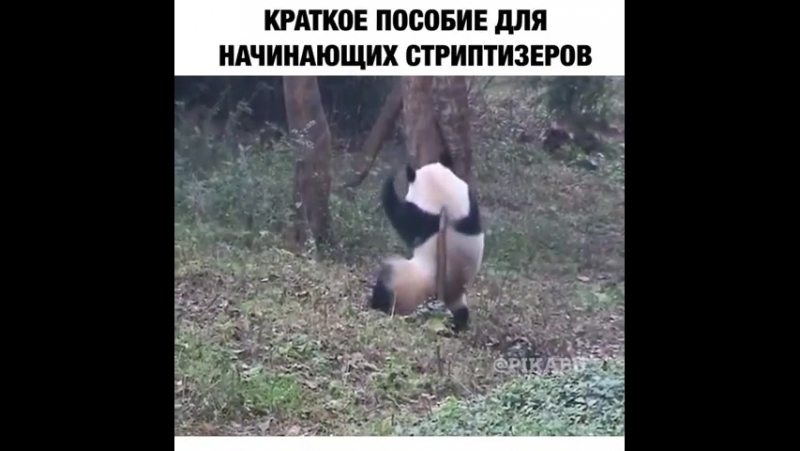 Краткое пособие для начинающих стриптизеров