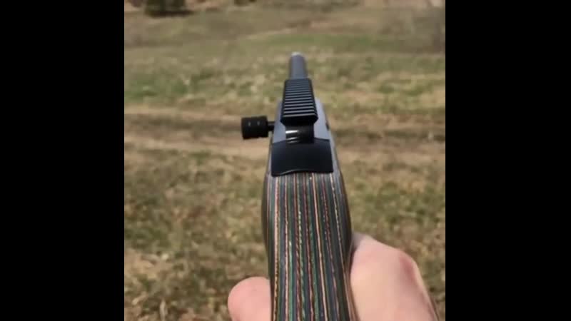 Сможешь определить ствол?