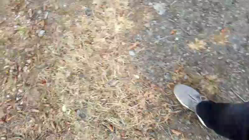 Трезвые дворы новоуральс live