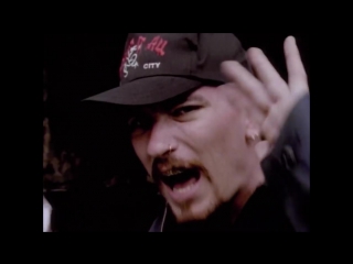 House of pain shamrocks and sheanigans