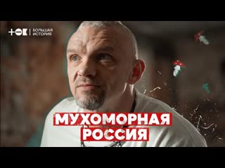 Мухоморная лихорадка почему в россии стало модно есть ядовитые грибы | ток | микродозинг