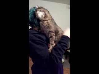 My little boi here used to be super hissy, but now he's turned into the cuddliest of them all!