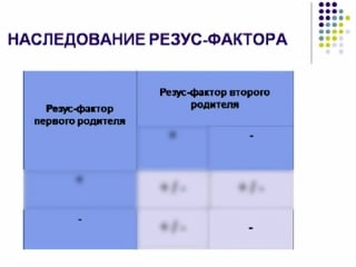 Внешнее сходство и различия между родителями и молодые