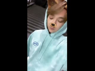 Kenta puppy ig story 「191114」