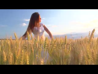 Stock footage beauty young woman with healthy long hair spinning and laughing on wheat field outdoors happy mp4