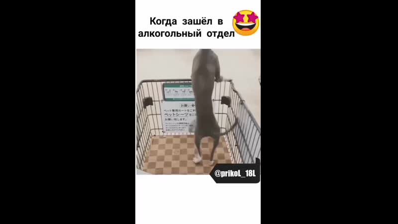 Когда зашёл в алкогольный отдел