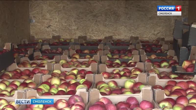 Смоленские таможенники разгадали «польскую» хитрость