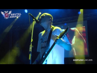 Godflesh live at brutal assault 2015