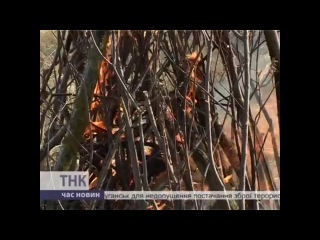 Івана купала в хотіні річка лімниця / 6 7 липня 2014