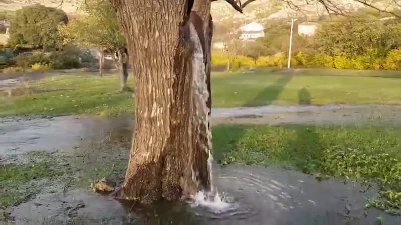 Уникальное природное явление в деревне диноша, черногория