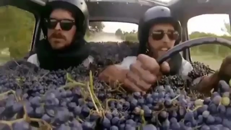 Молдаване осенью