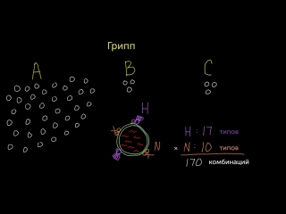 Наименование вирусов гриппа н n…