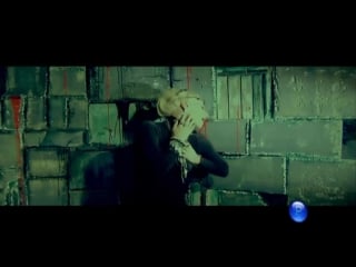 Камелия черна кръв (2009)