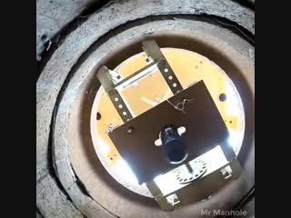 Manhole removal tool