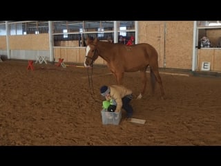 Маршрут доверия донская бригантия и о садовникова