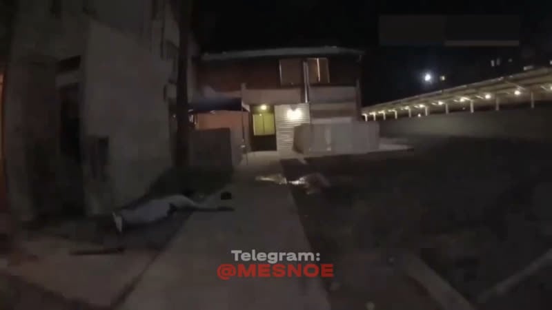 Колорадские эцилоппы служить и защищать